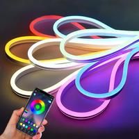 EU Plug DC12V/24V RGB Neon LED Strip£1/2/3/4/5/10/15M Neon RGB Strip With Bluetooth/Remote control