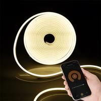 EU Plug DC12V 24V Tuya Smart WiFi APP Neon LED Strip Silica Neon Lamp Tape Backlight Home Decoration