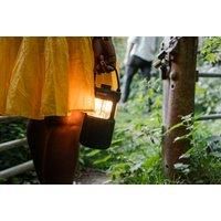 Pure WOODLANDGLOW
