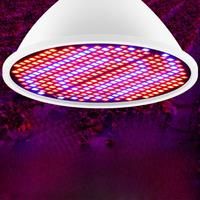 Plant LED Grow Light Bulb Full Spectrum Phytolamp Indoor Flower Seeds Hydroponics LED Phyto Lamp For