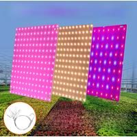 LED Indoor Plant Light Full Spectrum LED Grow Panel Phyto Lamp For Cultivation Planting Flower