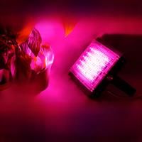 LED Plant Grow Light Full Spectrum Hydroponic Phytolamp For Planting Cultivation Vegetable Seeds