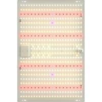 400W LED Quantum Board Grow Light Full Spectrum Greenhouse Vegetable Indoor Potted Flower Growth Box Cultivation Lamp US/EU Plug