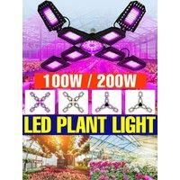 200W LED E27/E26 Grow Light Bulb 220V Full Spectrum Plant Cultivation Lamp 110V For Greenhouse Tent Vegetable Flower Hydroponics