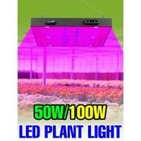 100W LED Full Spectrum Grow Light Quantum Board Plant Lamp For Indoor Greenhouse Tent Vegetable Tomato Cultivation Fill Lighting