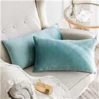 MIULEE Velvet Soft Soild Microfiber Decorative Square Pillow Case Throw Cushion Cover for Sofa Bedroom with Invisible Zipper Teal Blue 12"x20",2 Pieces
