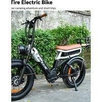 BAOLUJIE DP-2033 Electric Bike 2000W Dual Motors - 48V 30Ah Battery-Hydraulic Disc Brakes - 20-Inch City Commuter Electric Bike