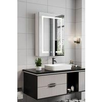 45cm W x 60cm H Rectangular 1 Door LED Dimmable Mirror Cabinet