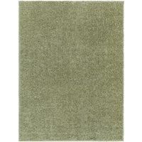 Livabliss Shaggy Rug Shaggy Rug - Modern Berber Rug Living Room 120x170 cm, Soft Shaggy Rugs for Bedroom - Neutral Boho Fluffy Rug, Easy Care Plush Thick Pile - Large Rug, Sage Rug