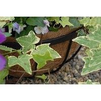 Hanging Basket Coco Liners - 3 Options!