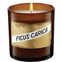 Ficus Carica (Fig) Candle