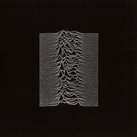 Unknown Pleasures [VINYL]