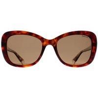 Butterfly Havana Bronze Polarized PLD 4132/S