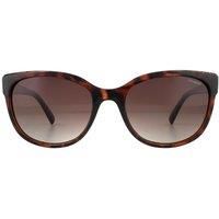 Polaroid Sunglasses PLD 4030/S Q3V LA Dark Havana Glitter Brown Gradient Polarized