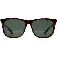 Square Havana Green Polarized PLD 6103/S/X