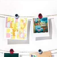 OXO Good Grips Magnetic Mini Clips-8 PK-Assorted Colors, 8 Pieces