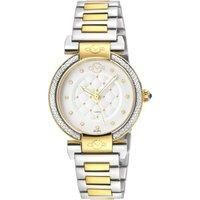 Berletta Swiss Quartz Diamond White Dial, Two toned IPYG Stainless steel bracelet Watch