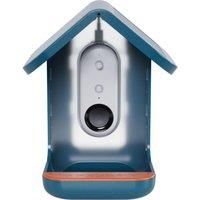 Bird Buddy Pro Solar Smart Bird Feeder with Camera - Ai Bird Species Identifi...