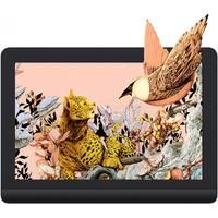 XPPen Artist Pro 16 (Gen 2) Graphics Tablet Monitor 16K Pressure Levels Drawing Pen Display with X3