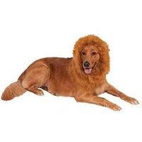 Rubies Official Lion/'s Mane Dog Pet Costume, One Size Halloween