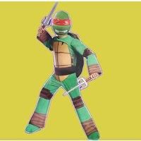 Teenage Mutant Ninja Turtles Inspired Fancy Dress - 3 Sizes