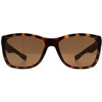 Square Havana Brown Polarized L662SP