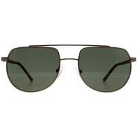 Aviator Matte Light Gold Green CK20301S