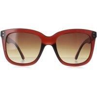 Calvin Klein Brown Gradient Square Ladies Sunglasses CK22550S 210 53