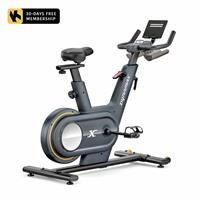 Dynamax Sprint Exercise Bike
