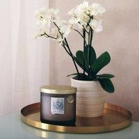 Heart & Home Love Always Twin Wick Ellipse Shape Sustainable Soy Candle – Luxurious Timeless and Captivating Scent | Long-Lasting, Even Burn