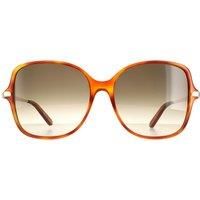 Square Tortoise Grey Gradient SF990SR