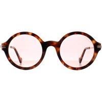 Moncler ML0081 55Y COLOURED HAVANA 50/23/140 WOMAN Sunglasses