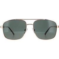 Aviator Gold Grey GF0211