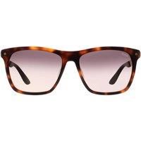 BMW Men's Square Blonde Havana Smoke Gradient BW0002-H Sunglasses in Brown