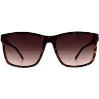 Square Brown Brown Gradient GF5082