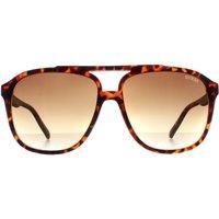 Aviator Brown Brown Gradient GF5084