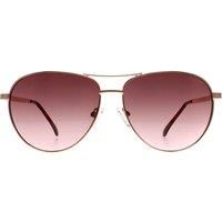 Aviator Shiny Rose Gold Bordeaux Gradient GF6157