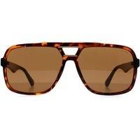 Guess Men's Aviator Dark Havana Brown GF5125