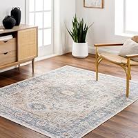 Livabliss Perth Machine Washable Rug - Vintage Area Rugs Living Room, Large Rug 66x115 cm - Traditional Boho Rug Style, Dining Room, Kitchen, Outdoor, Hallway - Brown, Grey and Blue Rug