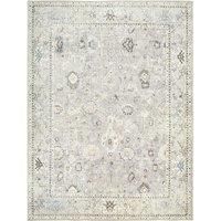 Livabliss x Becki Owens Davina Vintage Rug - Area Rugs for Living Room 160x213 cm, Bedroom - Scandi Neutral Rugs, Traditional Patterned Boho Style, Natural Easy Care Pile - Large Rug, Grey, Brown