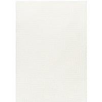 DARIANA Shaggy Modern Plush Pile Area Rug