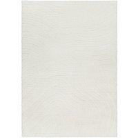 DANAE Shaggy Modern Plush Pile Area Rug