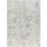 Livabliss x Our PNW Home Olympic Updated Traditional Area Rug, 6/'7/' x 9/', Light Gray