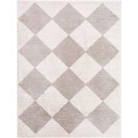 DELINE Machine Washable Modern Shaggy Area Rug