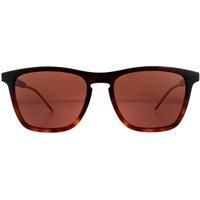 Gucci Sunglasses GG0843S 002 Havana Brown