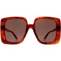 Square Havana Brown GG1314S