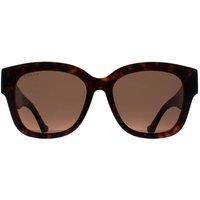 Butterfly Havana Brown GG1550SK