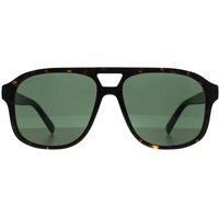 Aviator Dark Havana Green GG1856S