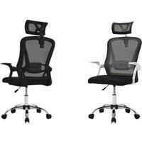 Ergonomic Swivel Office Chair with Mesh Back, Lumbar Support, Headrest