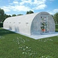 Greenhouse 27m£ 900x300x200 cm